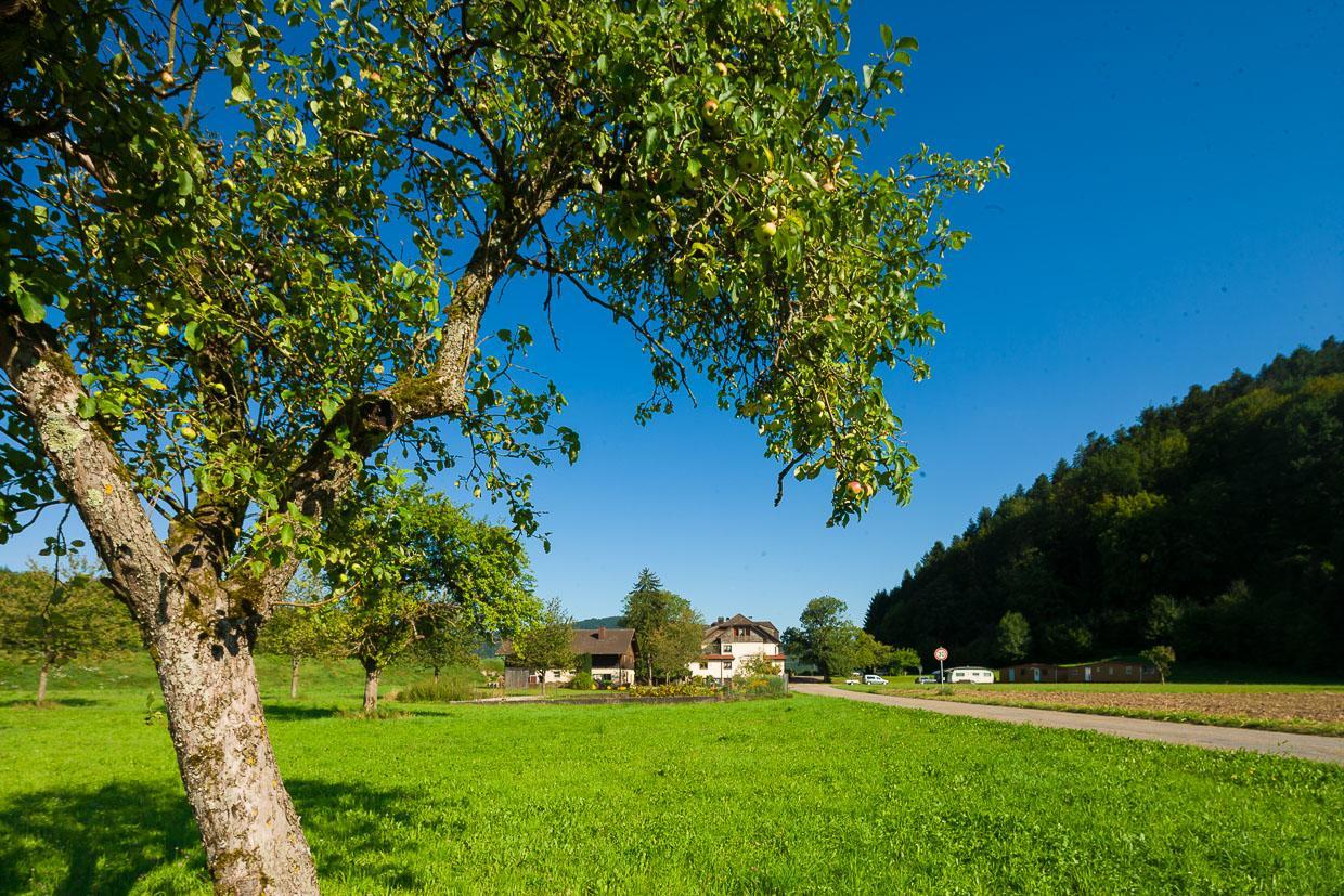Landgasthof Kinzigstrand Біберах бей Оффенбург Екстер'єр фото
